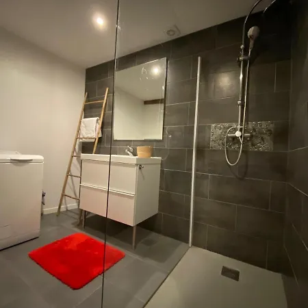 Coeur Historique * Albi