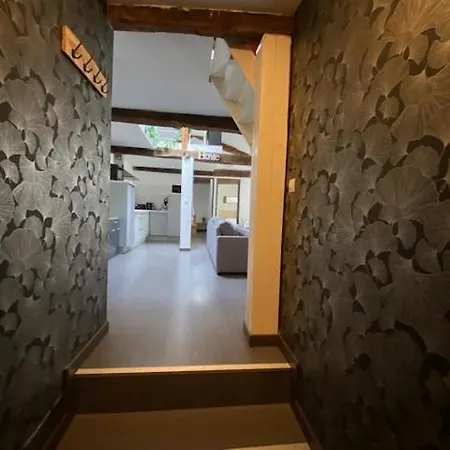 Appartement Coeur Historique Albi